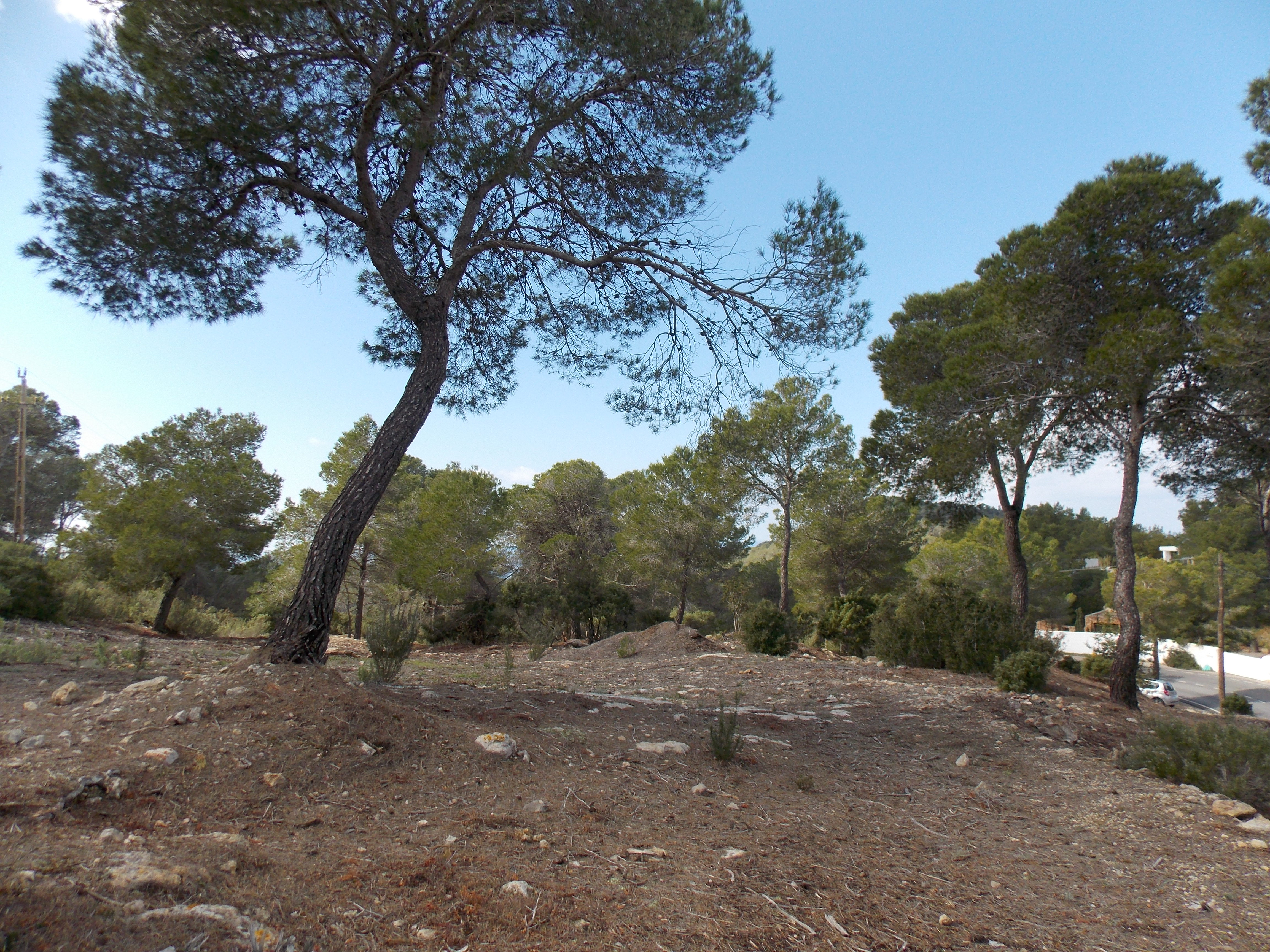 Cartografía del suelo rústico en Cala Tarida