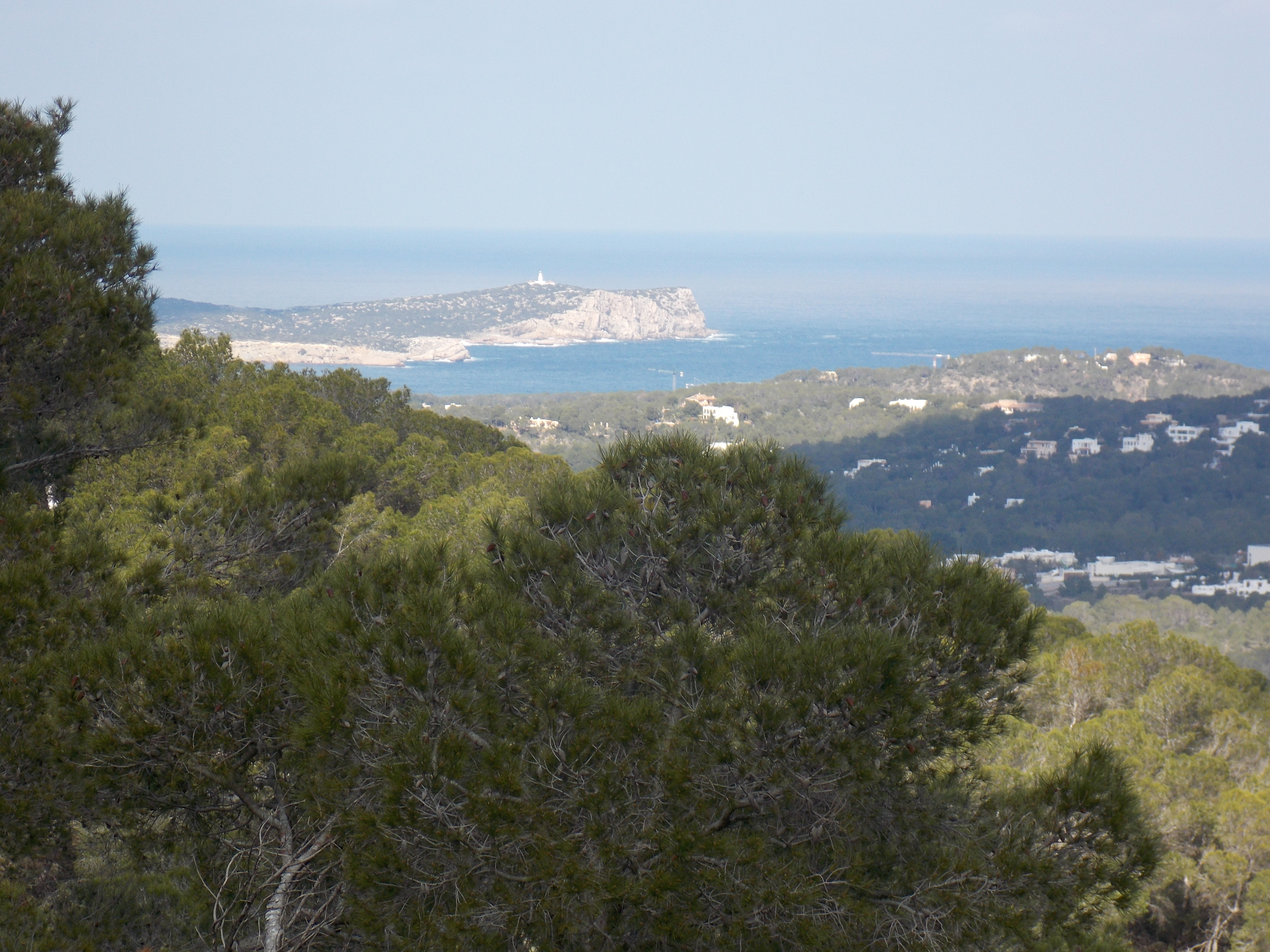 Suelo rústico en Cala Tarida, Ibiza