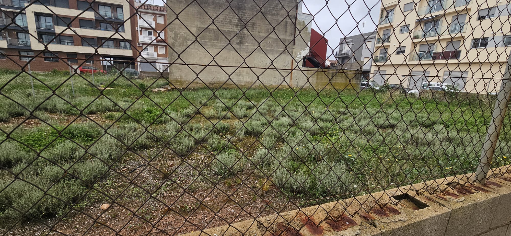 Vista amplia a través del cerramiento