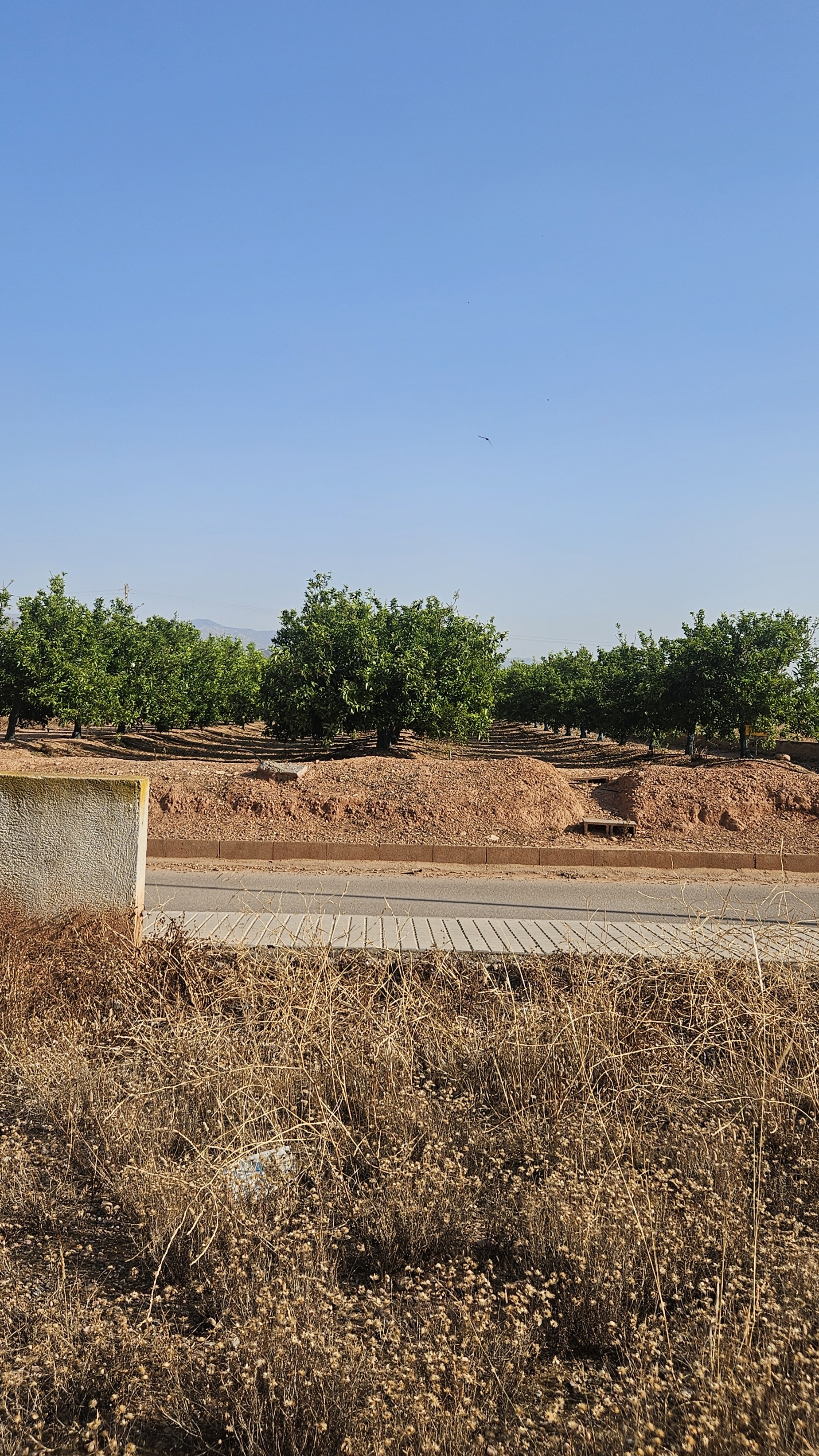 Parcela urbana en Chilches, Castellón